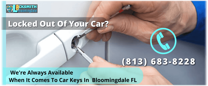 Car Locksmith Bloomingdale FL